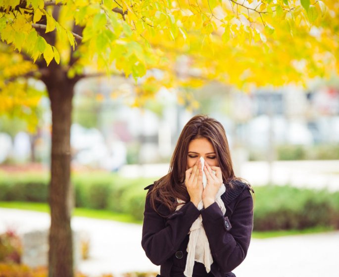 Allergies aux pollens : les departements les plus exposes