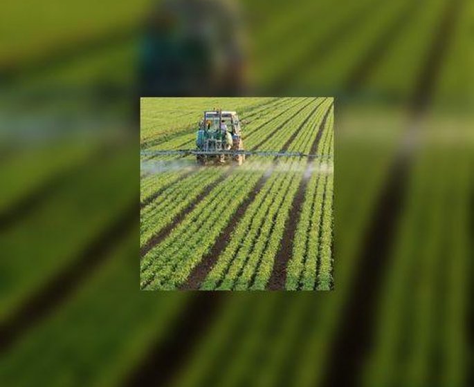 Pesticides perturbateurs endocriniens : leur omnipresence est de plus en plus inquietante