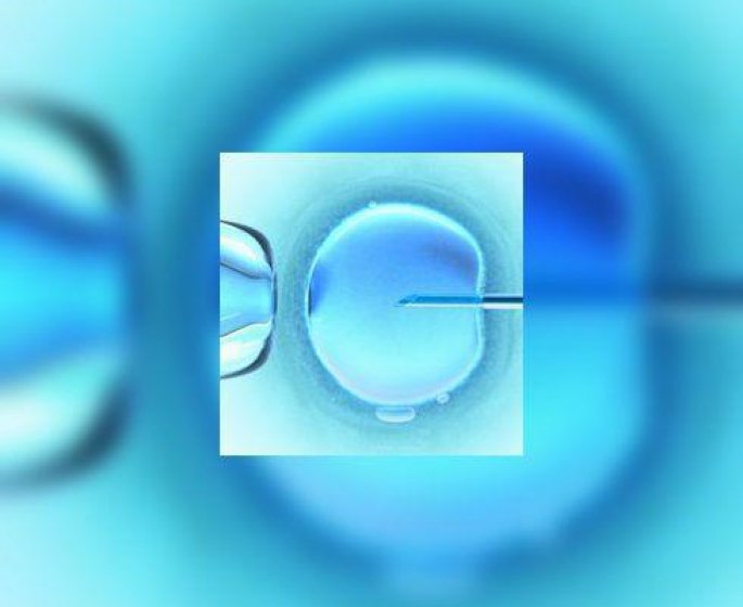 Oui a la conservation des ovocytes «de convenance»