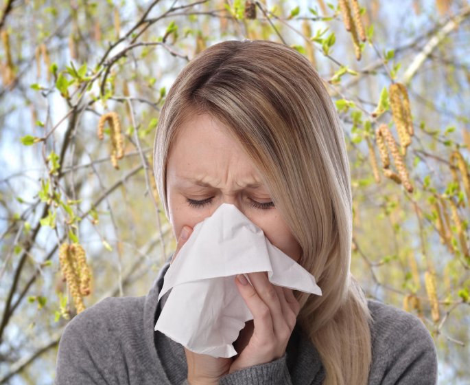 Allergie au pollen de bouleau : l’Indre-et-Loire est dans le rouge !