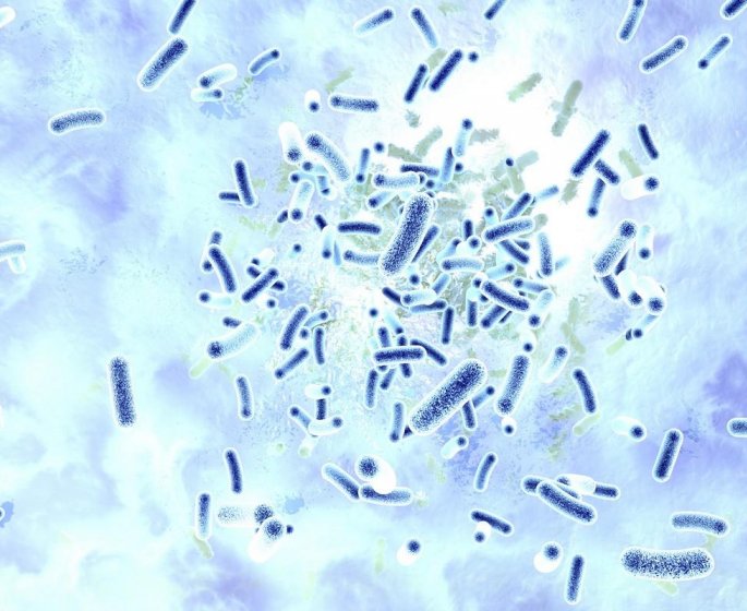 Les bacteries multi resistantes responsables de 33 000 morts en Europe en 2015
