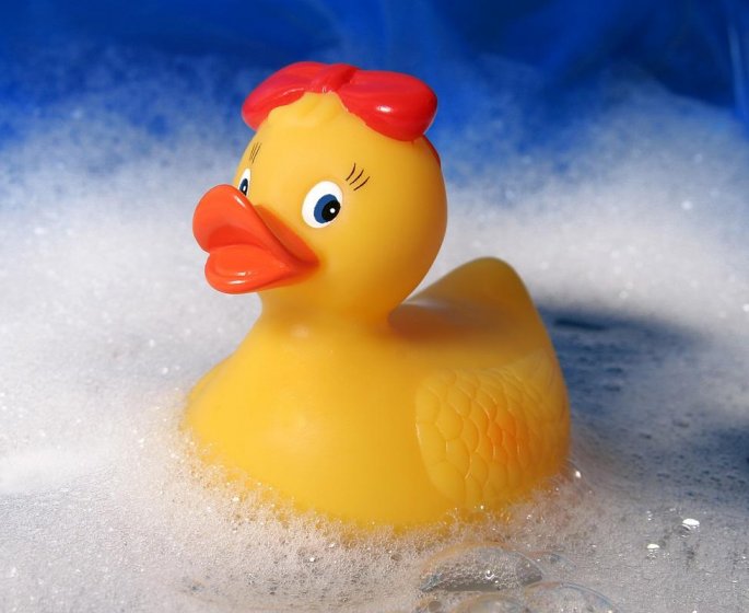 Les canards de bain sont des nids a bacteries