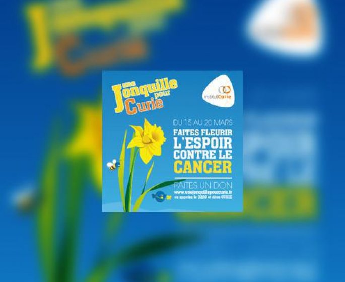 Lutte contre le cancer : une jonquille pour l’Institut Curie