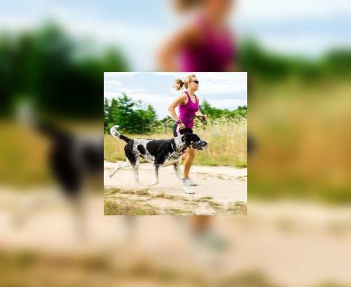 Avoir un chien, c’est excellent pour le cœur !