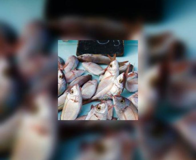 Manger du poisson sans risque : les recommandations