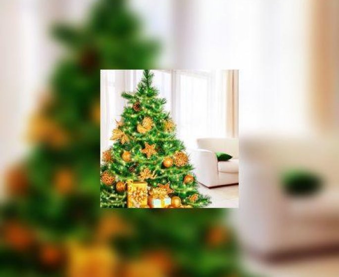 Et vous etiez allergique… au sapin de Noel ?