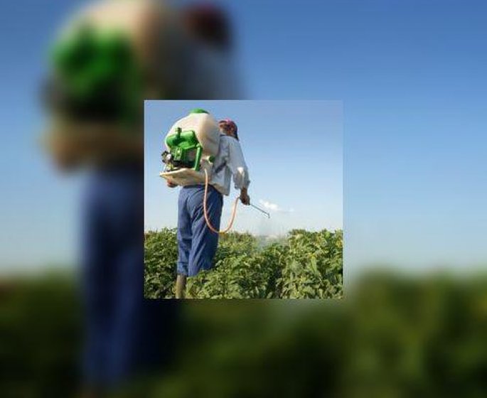 Pesticides : les Francais sont toujours surexposes