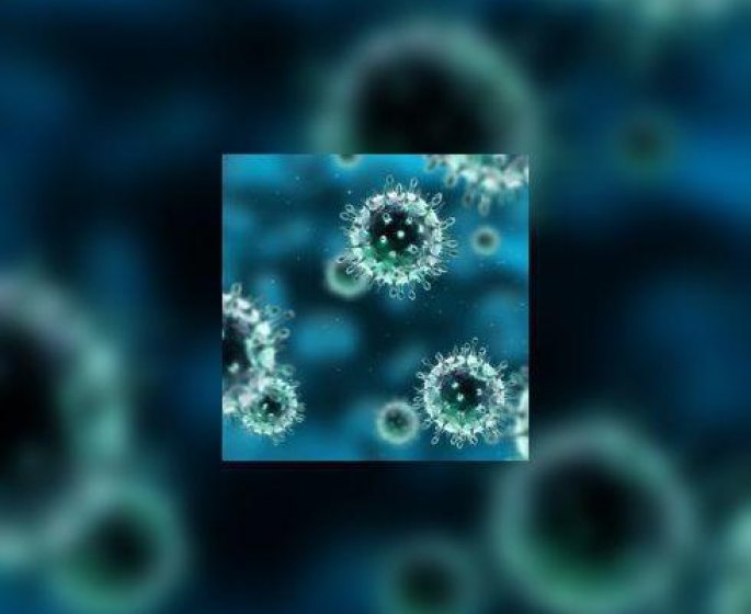 Nouveau coronavirus : un 2e cas en France