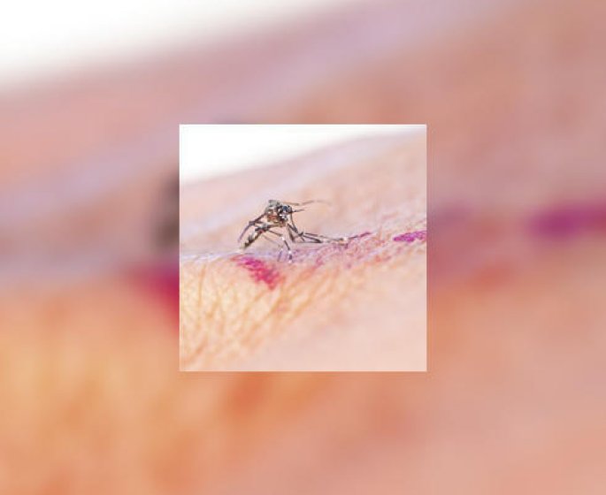 Sanofi-Pasteur : le premier vaccin contre la dengue bientot disponible