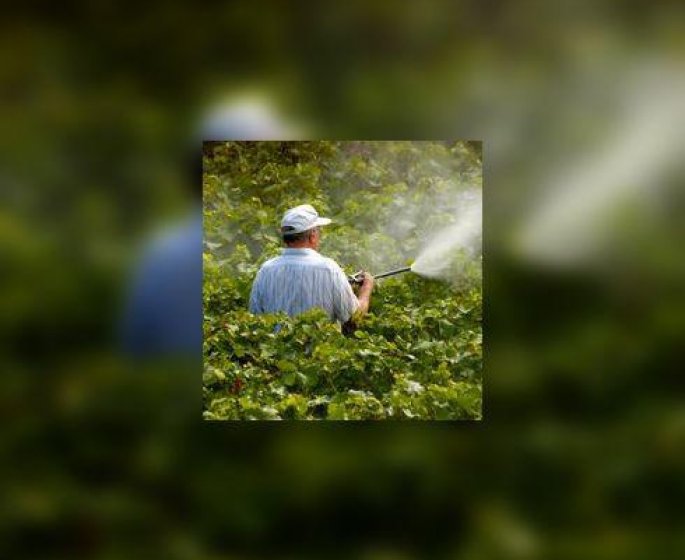 Pesticides et sante : quels risques ?