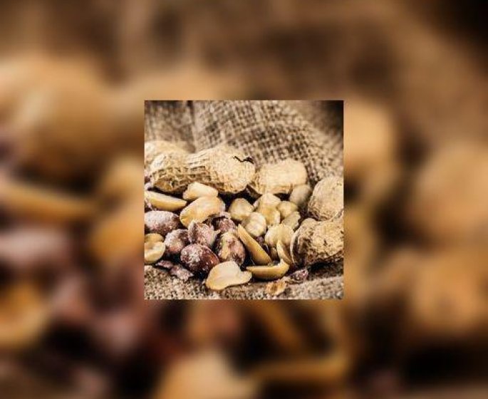 Allergie a la cacahuete : bientot une desensibilisation a l’arachide ?