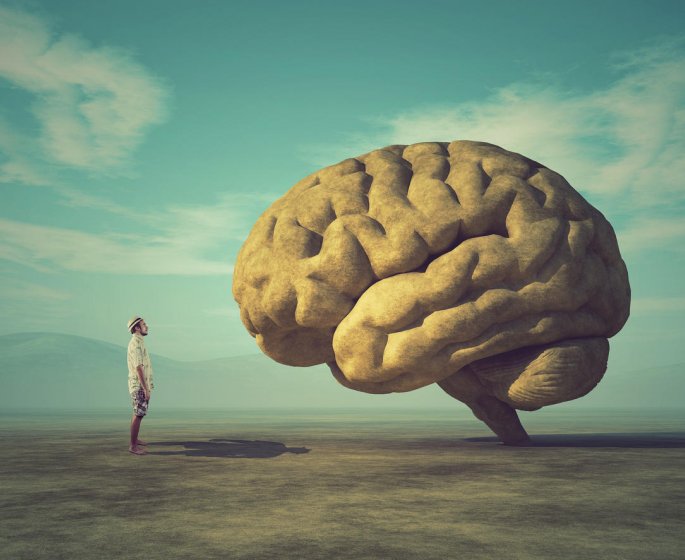 Cerveau : les humains ne sont pas adulte avant l-age de 30 ans