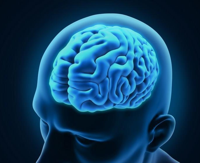 Pourquoi notre cerveau est de plus en plus gros !