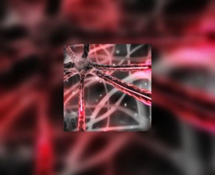 Sclerose en plaques : la piste de l’endotheline, un espoir de traitement