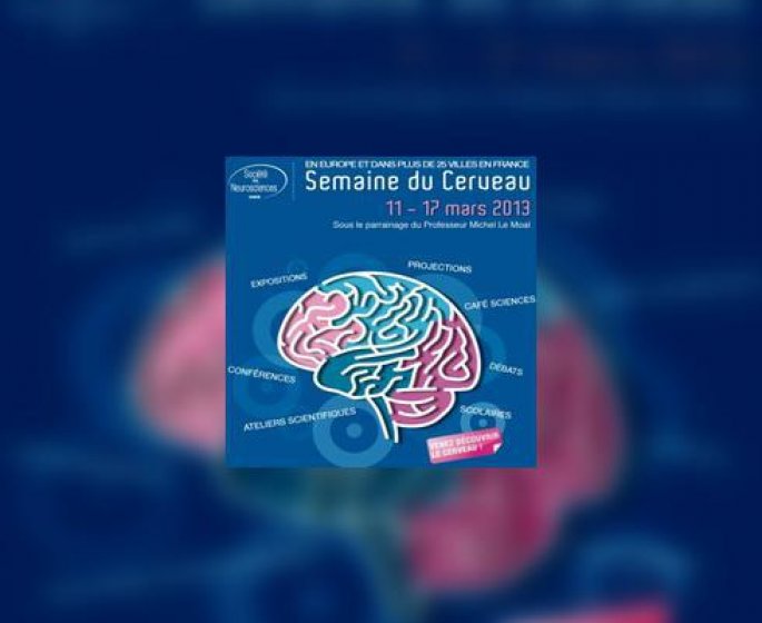 Semaine du cerveau : du 11 au 17 mars 2013