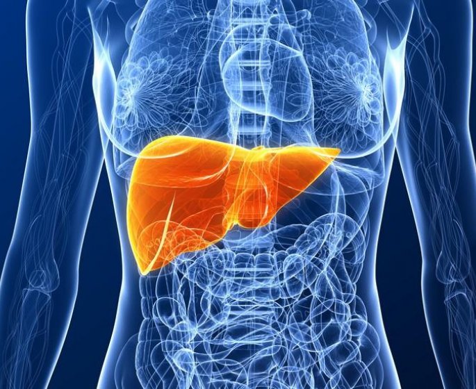 Hepatite C : 1,5 million de morts et 15 millions de cas evitables d’ici 2030