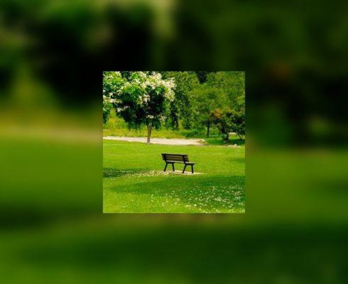 Les espaces verts : avantages et inconvenients pour les enfants