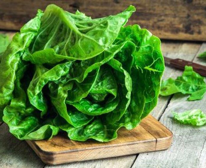 Une salade sur dix contaminee par des pesticides