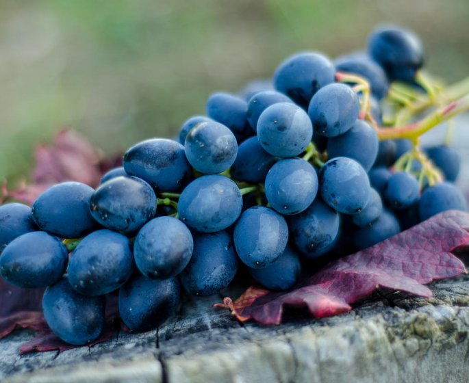 Pesticides : le celeri-branche et le raisin sont les plus contamines