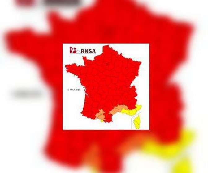 Pollens de graminees : alerte rouge en France