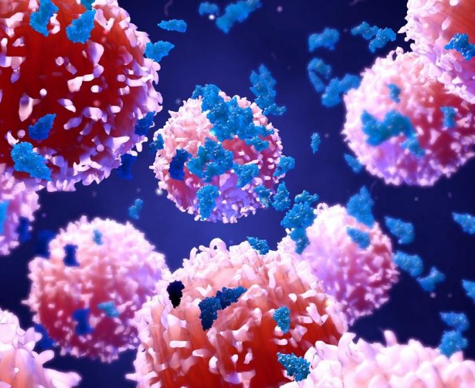 Cancer : comment le systeme immunitaire reagit