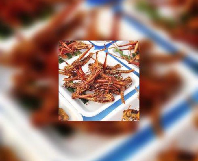 Entomophagie : manger des insectes, bonne ou mauvaise idee ?