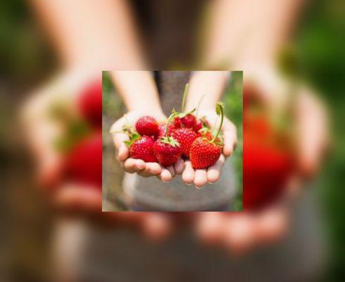 Les perturbateurs endocriniens se cachent aussi dans les fraises