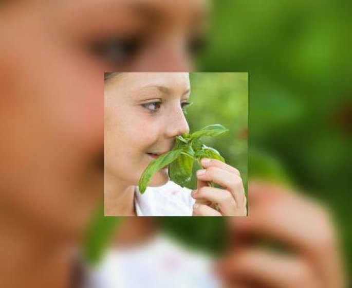 Des cancers demasques par leur odeur !