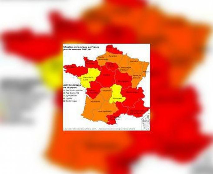 Epidemie de grippe 2012, en France : Alerte