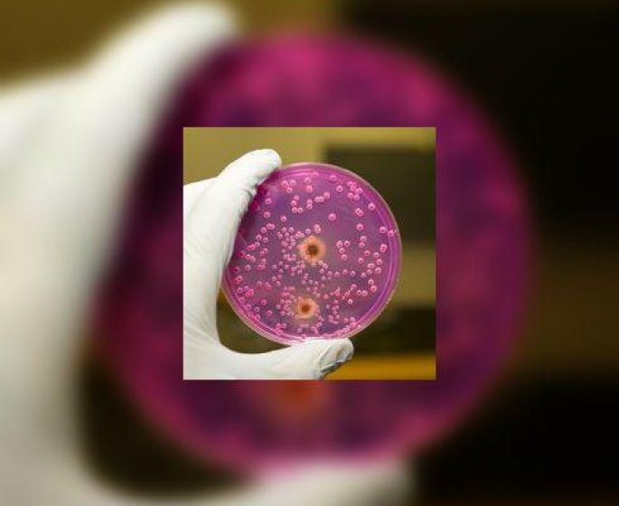 Melanomes : cibler la tumeur, mais aussi les metastases cerebrales