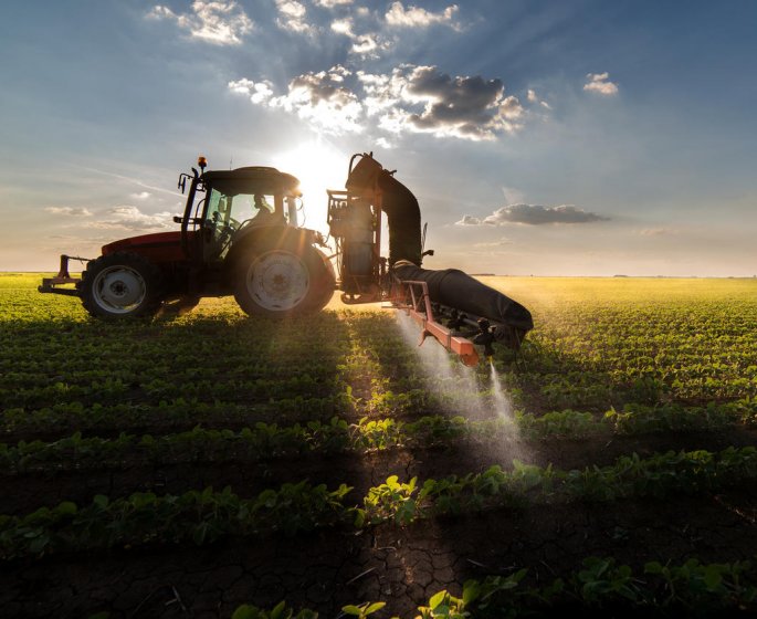 Parkinson : les pesticides n’empoisonnent pas que les agriculteurs