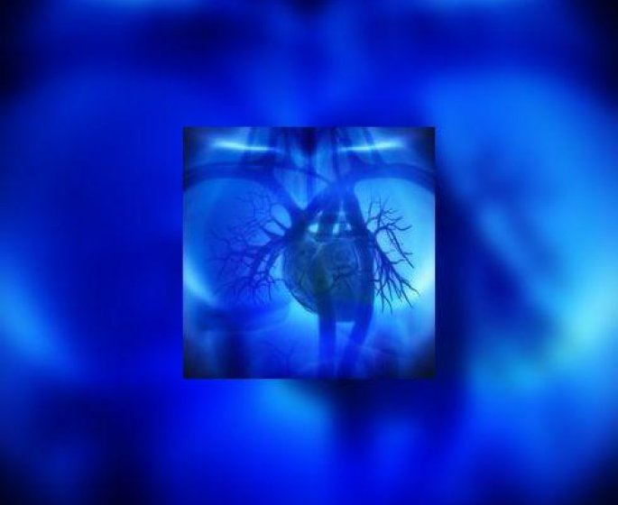 Implantation d’un cœur artificiel : feu vert en France