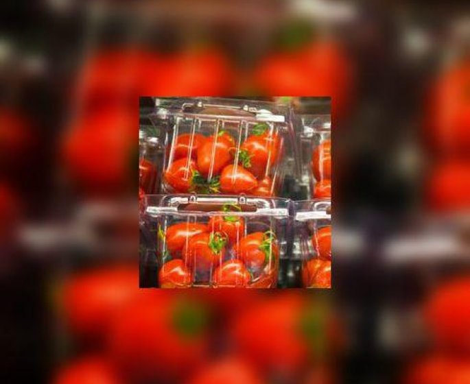 Le bisphenol A, implique dans l’intolerance alimentaire