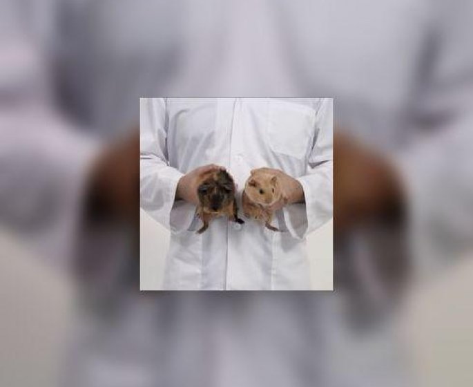 Cancer du testicule : l’humour canadien au secours du depistage