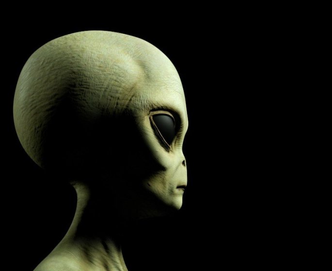 Apres les oreilles et le nez, il se fait retirer la levre pour ressembler a un alien 