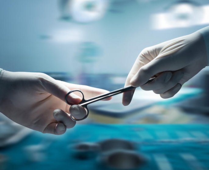 Le diverticule de Meckel : un drole d-appendice
