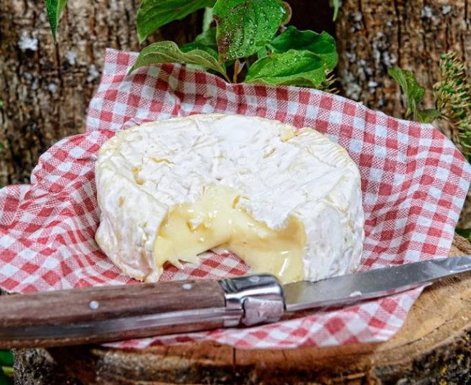 Crepes au camembert et aux pommes