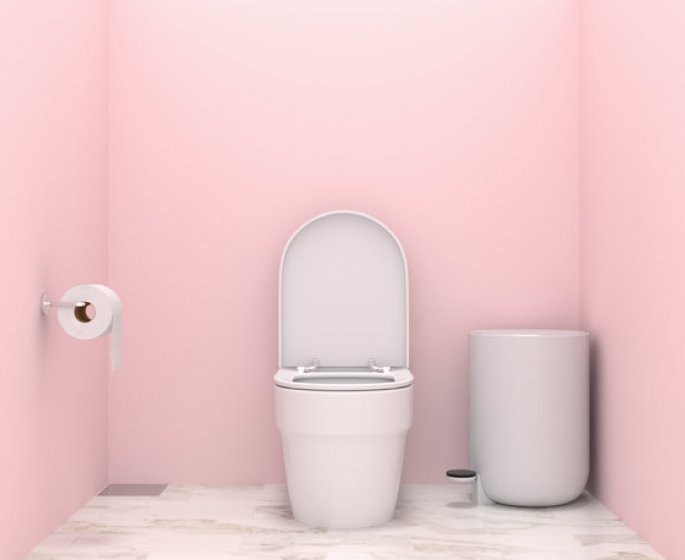 Honte d-aller aux WC : les 5 lieux qui bloquent les Francais