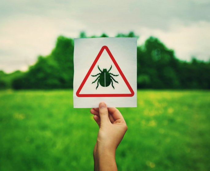 Maladie de Lyme, Tiques : les regions les plus a risques