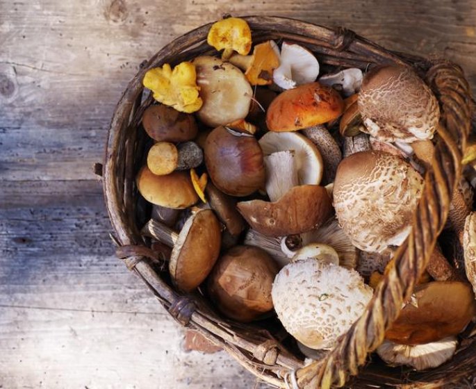 Comment bien cuire les cepes