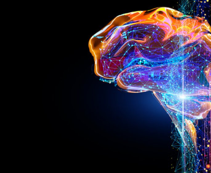 6 moyens de booster son cerveau, selon la science