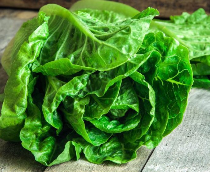 Lavez vos salades !