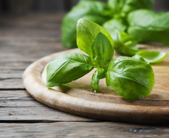 Pourquoi vous devez garder du basilic pour plus tard ? 