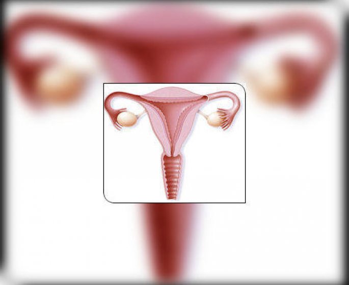 Les cancers de l-uterus