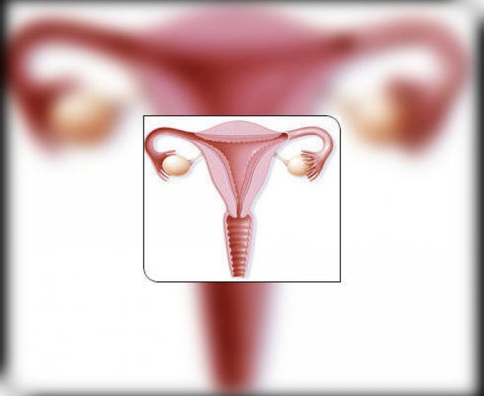 Les cancers de l-uterus
