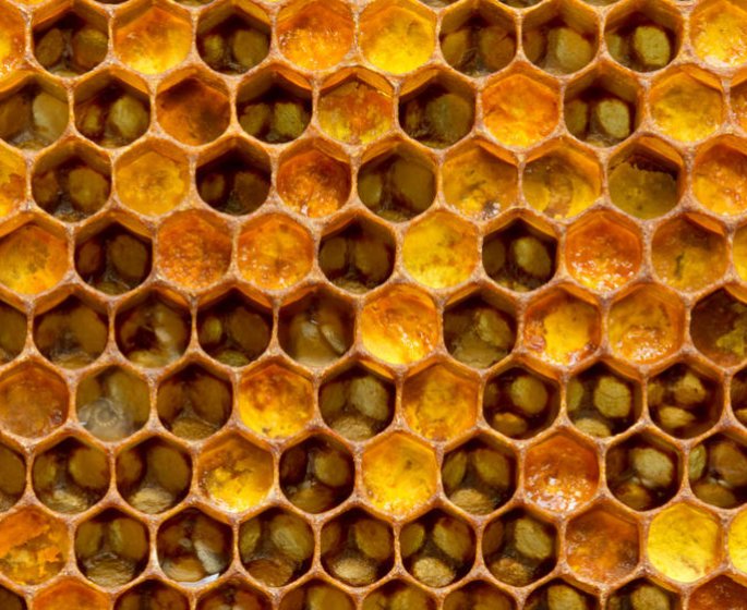 Gelee royale : pour qui, pour quoi ?
