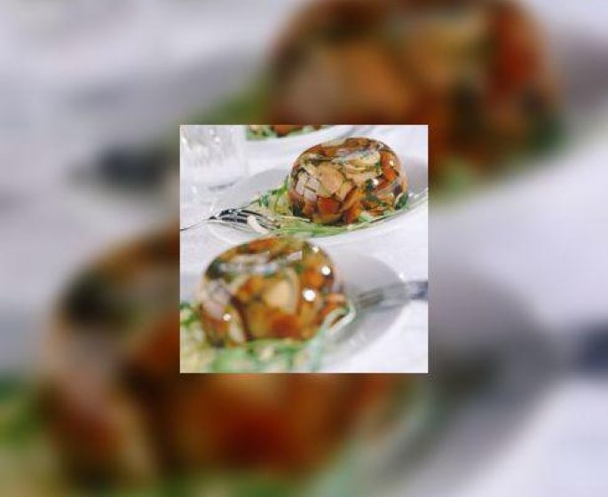 Ratatouille en gelee