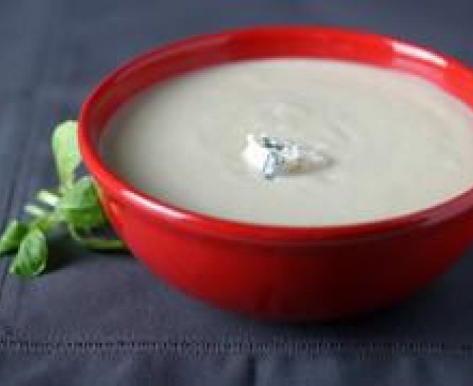 Potage glace de fenouil au raifort