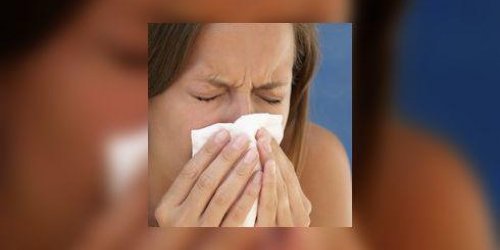 Allergie : lancement d-un nouveau site sur les allergies respiratoires