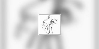 Collyres : mode d-emploi